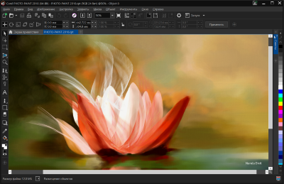 CorelDRAW Graphics Suite 2021
