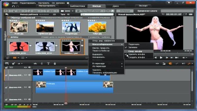 Corel Pinnacle Studio 24
