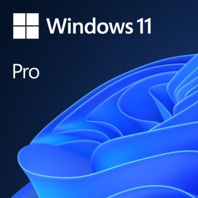 Операционная система Windows 11 Pro и Windows 10 Pro