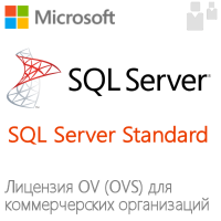 Microsoft SQL Server Standard (OV, OVS)