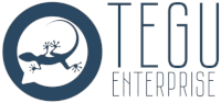 Tegu Enterprise почтовый сервер 