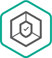 Kaspersky Small Office Security (own VPN, fixed date) по подписке