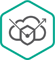 Kaspersky DDoS Prevention+, Bundle 200 Mbps по подписке
