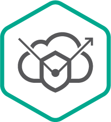 Kaspersky DDoS Prevention+, Bundle 200 Mbps — профессиональная защита от DDoS-атак по подписке