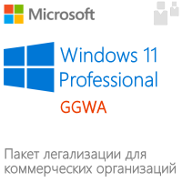Windows 11 Professional GGWA легализация